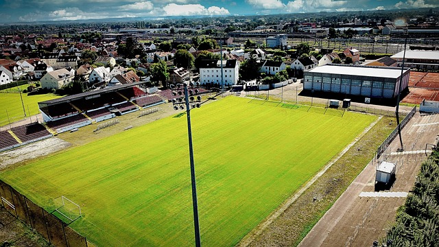 了中国队的 了中国队的