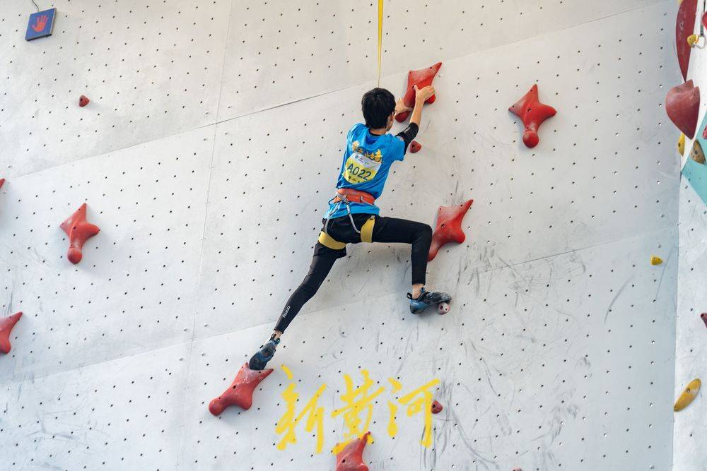 仅提高了快 仅提高了快