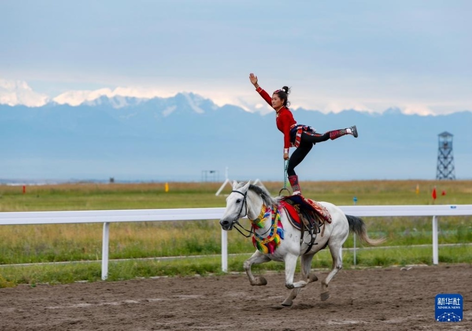 曼城主帅瓜 曼城主帅瓜